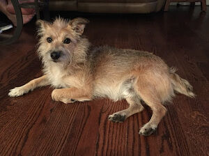 Meet your Posher, Aimee and drew